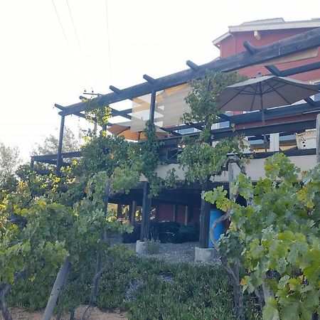Rancho Los Amigos Cabin Lodge Ensenada Luaran gambar