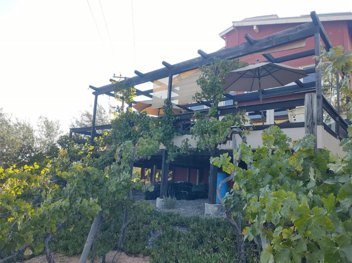 Rancho Los Amigos Cabin Lodge Ensenada Luaran gambar